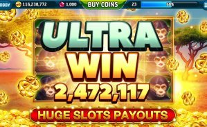 betbit